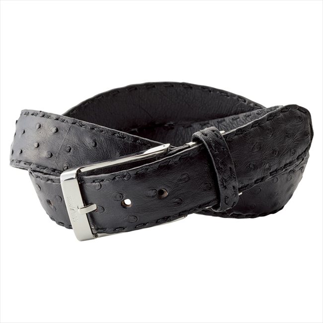 ゴールドファイル ベルト（ブラック） GB54850 内祝 内祝い お祝 御祝 記念品 出産内祝い プレゼント 快気祝い 粗供養 引出物