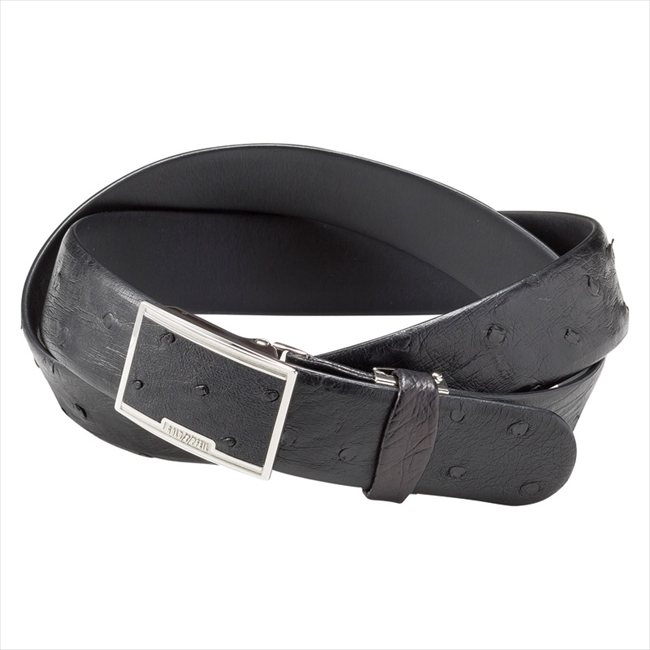 ゴールドファイル オーストリッチベルト ブラック GBC1450 内祝 内祝い お祝 御祝 記念品 出産内祝い プレゼント 快気祝い 粗供養 引出物