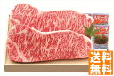 送料無料 近江牛 サーロインステーキ用 (注)※6/12以降の出荷予定となります。北海道・沖縄・離島は配達不可 全国送料無料 御中元ギフト 早割 お中元2025 御中元 御見舞 お見舞い お取り寄せ グルメスイーツ