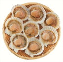 送料無料 北海道産 帆立片貝 (注)※6/12以降の出荷予定となります。北海道・沖縄・離島は配達不可 全国送料無料 御中元ギフト 早割 お中元2025 御中元 ...
