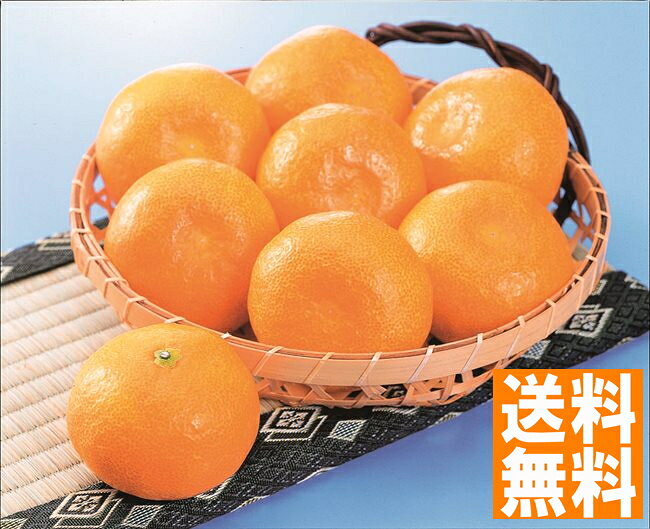 送料無料 和歌山 ゆらっ子みかん ※（注）北海道・沖縄・離島は配達不可 全国送料無料 御歳暮ギフト 早割 お歳暮2024 御見舞 お見舞い お取り寄せ グルメスイーツ