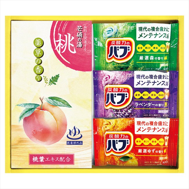 炭酸力の薬用入浴剤セット BB10 内祝 内祝い お祝 御祝 記念品 出産内祝い プレゼント 快気祝い 粗供養 引出物