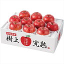 送料無料 青森県産 樹上完熟サンふじりんご H-A8S 全国送料無料 御歳暮ギフト 早割 お歳暮2025 御見舞 お見舞い お取り寄せ グルメスイーツ