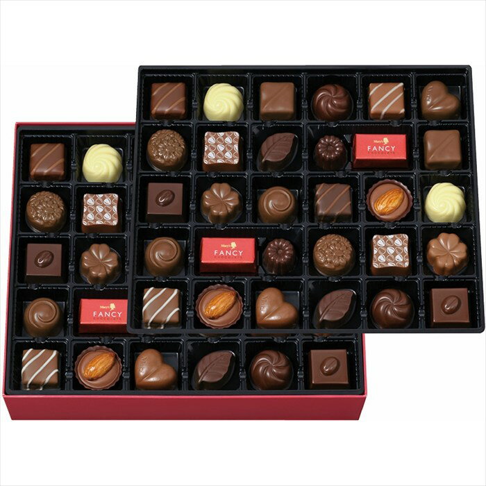 ̵ ꡼祳졼 ե󥷡祳졼 0136 ̵ 륮ե  2025 渫   ᥹