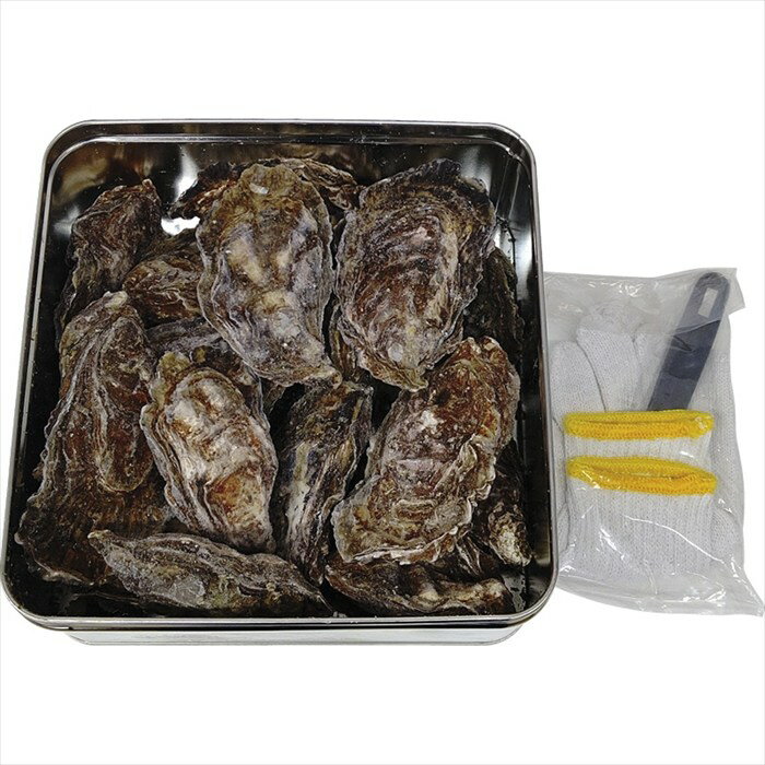 送料無料 広島県漁業協同組合連合会 広島牡蠣のカンカン焼き H-KY16 全国送料無料 御歳暮ギフト 早割 お歳暮2025 御見舞 お見舞い お取り寄せ グルメスイーツ