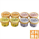 送料無料 乳蔵 北海道アイスクリーム(8個入) 110129 全国送料無料 御中元ギフト 早割 お中元2025 御見舞 お見舞い お取り寄せ グルメスイーツ