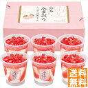 送料無料 博多あまおう たっぷり苺のアイス AH-TP6C 全国送料無料 御中元ギフト 早割 お中元2025 御見舞 お見舞い お取り寄せ グルメスイーツ