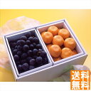 送料無料 長野県産種なし巨峰&ハウスみかん YO-1002 全国送料無料 御中元ギフト 早割 お中元2025 御見舞 お見舞い お取り寄せ グルメスイーツ