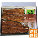 送料無料 浜松・浜名湖うなぎ蒲焼2人前(カット) UC91112-2 全国送料無料 御中元ギフト 早割 お中元2025 御見舞 お見舞い お取り寄せ グルメスイーツ