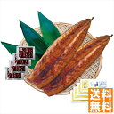 送料無料 鹿児島県産うなぎ蒲焼(たれ・山椒付) PFU-019A 全国送料無料 御中元ギフト 早割 お中元2025 御見舞 お見舞い お取り寄せ グルメスイーツ