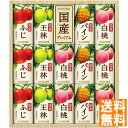 送料無料 カゴメ 国産プレミアムフルーツジュースギフト(紙容器) KT-30K 全国送料無料 御中元ギフト 早割 お中元2025 御見舞 お見舞い お取り寄せ グルメスイーツ