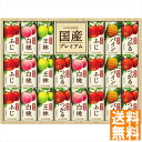 送料無料 カゴメ 国産プレミアムフルーツジュースギフト(紙容器) KT-50K 全国送料無料 御中元ギフト 早割 お中元2025 御見舞 お見舞い お取り寄せ ...