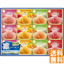 送料無料 セゾン デュ フリュイ 凍らせて国産果実シャーベット SS-30D 全国送料無料 御中元ギフト 早割 お中元2025 御見舞 お見舞い お取り寄せ グルメスイーツ