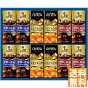 送料無料 キーコーヒー 天然水パーソナル飲料ギフト TPL-20 全国送料無料 御中元ギフト 早割 お中元2025 御見舞 お見舞い お取り寄せ グルメスイーツ