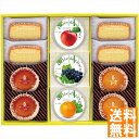 送料無料 井桁堂 ジュレ&ガトー(11個入) JG11 全国送料無料 御中元ギフト 早割 お中元2025 御見舞 お見舞い お取り寄せ グルメスイーツ