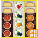 送料無料 井桁堂 ジュレ&ガトー(14個入) JG14 全国送料無料 御中元ギフト 早割 お中元2025 御見舞 お見舞い お取り寄せ グルメスイーツ