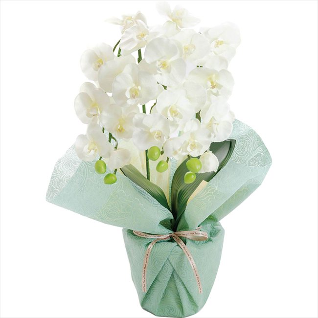 母の日 アーティフィシャルフラワー ミニ胡蝶蘭3本立ち ホワイト 25-MD-06-WH ※お届け日5/8～10※日付指定不可 送料無料 母の日 父の日 ギフト お取り寄せ スイーツ