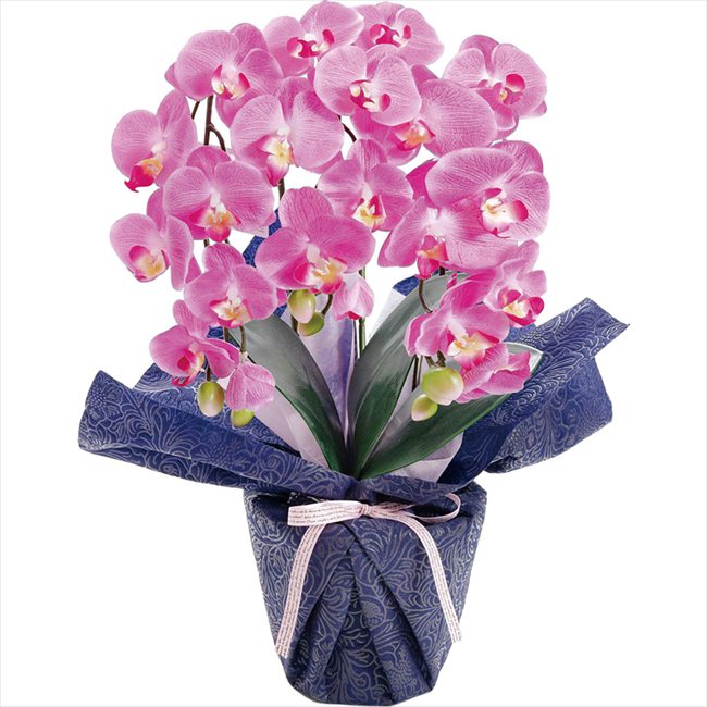 母の日 アーティフィシャルフラワー ミニ胡蝶蘭3本立ち ダークラベンダー 25-MD-06-DL ※お届け日5/8～10※日付指定不可 送料無料 母の日 父の日 ギフト お取り寄せ スイーツ