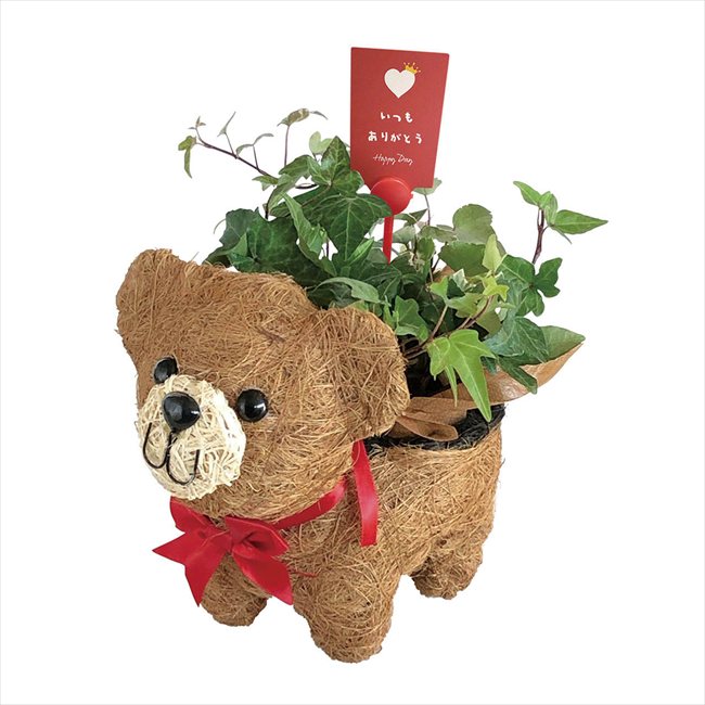 母の日 おさんぽクマさん3号 ※お届け日5/8～10※日付指定不可 送料無料 母の日 父の日 ギフト お取り寄せ スイーツ