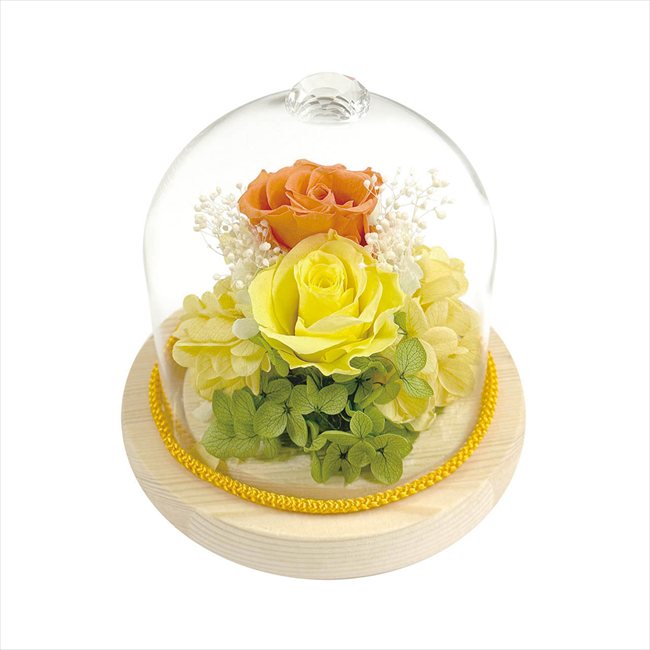 母の日遅れてごめんね ジュエルガラスドーム オレンジ B38435 ※お届け日5/15～17※日付指定不可 送料無料 母の日 父の日 ギフト お取り寄せ スイーツ