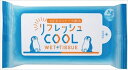 リフレッシュCOOLウェット10枚 WT-017 H