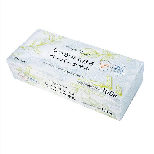 Other - しっかりふけるペーパータオル100枚 LD-924 粗品 景品 記念品 来場記念 来店促進 ノベルティ プチギフト