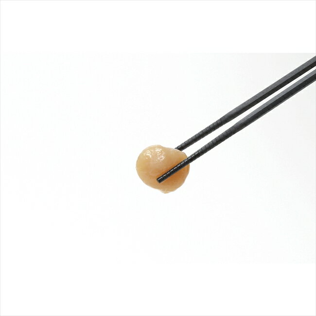 �֤ʤ�ͧ�ץ��ꥳ�����Ȥ NBT-604 ���å��� ���å��󻨲� ��� ��ˤ� ���� ��� ��ǰ�� �л���ˤ� �ץ쥼��� �����ˤ� �ƶ��� ����ʪ