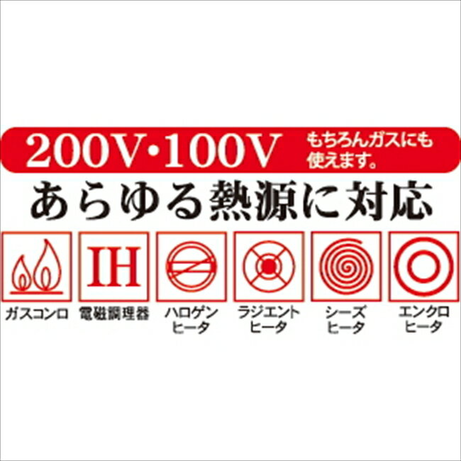 「ナチュラプラス」 IH対応深型フライパン22cm NRP-03 キッチン キッチン雑貨 内祝 内祝い お祝 御祝 記念品 出産内祝い プレゼント 快気祝い 粗供養 引出物