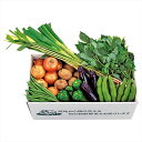 千葉県産 旬の有機野菜セット 内祝 内祝い お祝 御祝 記念品 出産内祝い プレゼント 快気祝い 粗供養 引出物