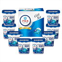 P&G アリエールジェルボールプロギフト 内祝 内祝い お祝 御祝 記念品 出産内祝い プレゼント 快気祝い 粗供養 引出物