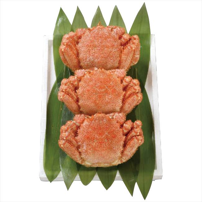 うまいものグルメ 北海道 噴火湾産ボイル毛ガニ お取り寄せ 送料無料 うまいもの