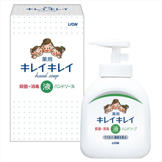 キレイキレイ薬用液体ハンドソープ250ml箱入 内祝 内祝い お祝 御祝 記念品 出産内祝い プレゼント 快気祝い 粗供養 引出物