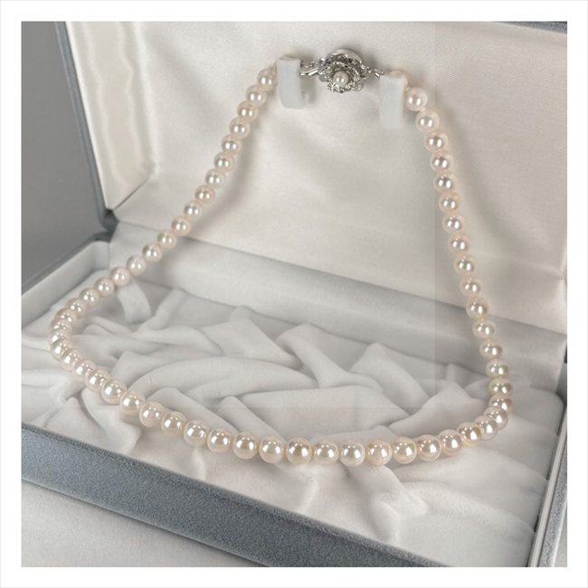 �������ܿ���ͥå��쥹 NS6 ���� ��ǰ�� ���� �Υ٥�ƥ� ̾���� �氧�� ������