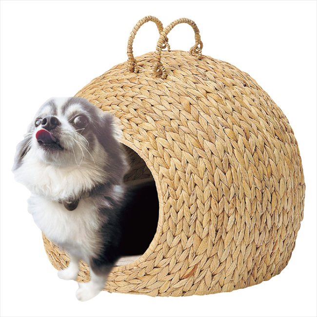 �����������ҥ䥷�����ڥåȥϥ��� HC-027NA ���� ��ǰ�� ���� �Υ٥�ƥ� ̾���� �氧�� ������