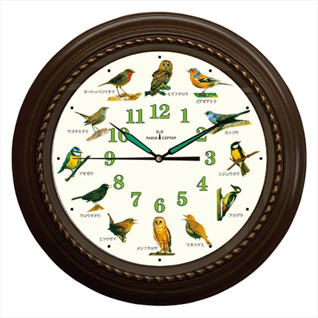 ��Ļ�����Ȼ��� HO-20251 ���� ��ǰ�� ���� �Υ٥�ƥ� ̾���� �氧�� ������