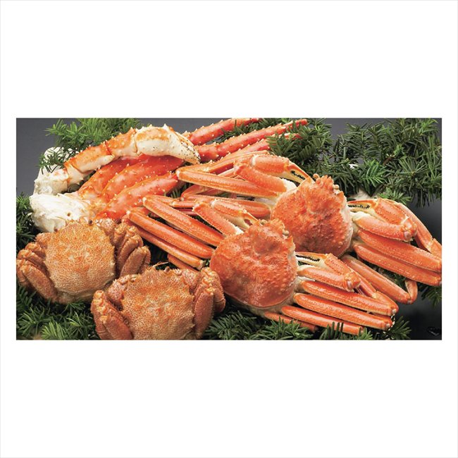 ����觤ǳ����å� 7435 ���� ��ǰ�� ���� �Υ٥�ƥ� ̾���� �氧�� ������