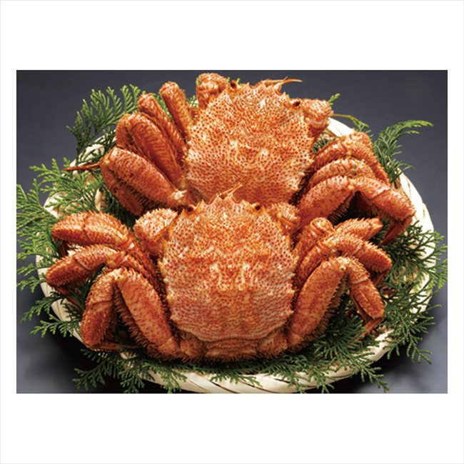 �̳�ƻ���ܥ����Ӥ��� 2��800g 400*2 ���� ��ǰ�� ���� �Υ٥�ƥ� ̾���� �氧�� ������