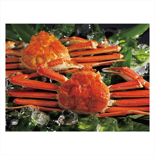 �ܥ��뤺�襤���˻� 2����50�� ���� ��ǰ�� ���� �Υ٥�ƥ� ̾���� �氧�� ������