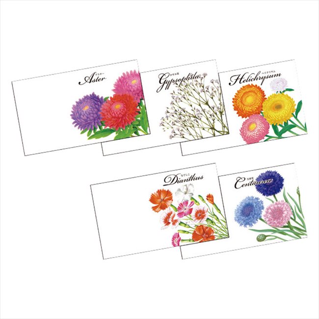 花の種子（横型） 指定不可 景品 記念品 粗品 ノベルティ 名入れ 御挨拶 ご挨拶