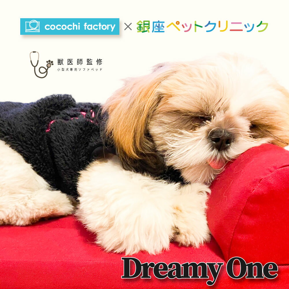 獣医師監修 セレブ 小型犬専用ベッド 10 Offクーポンあり トイプードル ペットベッド Dreamy One Mサイズ 犬 ペット ベッド ペットベッド 犬用ベッド 小型犬 小型犬ベッド おしゃれ 高級 犬 ダメ に する ベッド トイプードル トイプードルベッド グッズ Mサイズ
