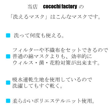 マスク 2枚組 何度も洗える 洗える フィルター装着可能 洗えるマスク フィルター付き 速乾 何回も洗える フィルター 花粉症 ウィルス ハウスダスト 在庫あり 日本製