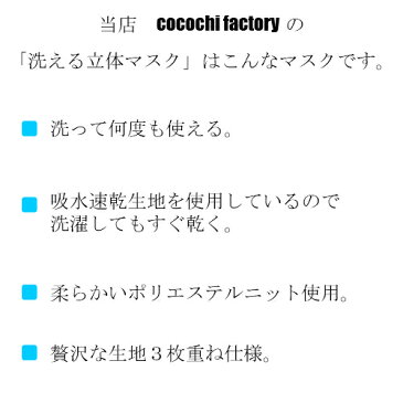 マスク 立体マスク 2枚組 何度も洗える 洗える 洗えるマスク 速乾 何回も洗える フィルター 花粉症 ウィルス ハウスダスト 在庫あり 日本製 立体マスク