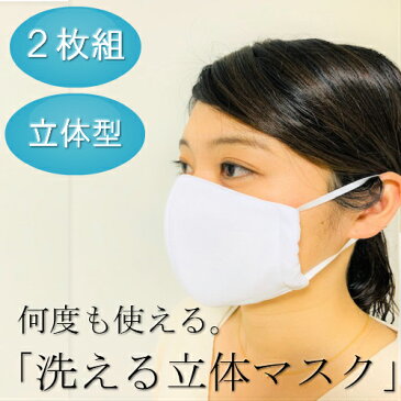 マスク 立体マスク 2枚組 何度も洗える 洗える 洗えるマスク 速乾 何回も洗える フィルター 花粉症 ウィルス ハウスダスト 在庫あり 日本製 立体マスク