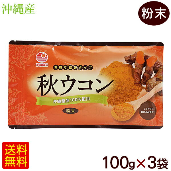 秋ウコン 粉末 100g×3袋　/比嘉製茶 沖縄産100％【M便】のサムネイル