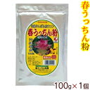 春うっちん粉 100g 1個 /沖縄産 春ウコン粉末 【M便】