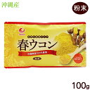 春ウコン 粉末 100g /比嘉製茶 沖縄産100% 国産