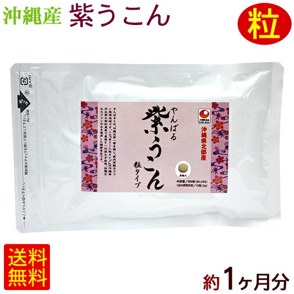 やんばる 紫ウコン 500粒×1袋（約1ヶ月分）　/紫うこん ガジュツ 沖縄産 国産 サプリ 【M便】