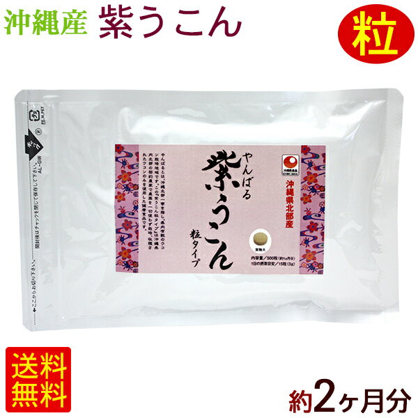 やんばる 紫ウコン 500粒×2袋（約2ヶ月分） /紫うこん ガジュツ 沖縄産 国産 サプリ 【M便】