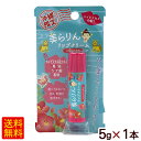 美らりん リップクリーム ハイビスカスの香り 5g×1本 /沖縄限定 お土産 【M便】