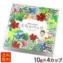 くちゃパック カップタイプ 10g×4カップ　/天然泥パック粉 【P便】